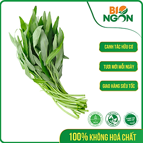 [Chỉ Giao HCM] - Rau Muống Baby Hữu Cơ (Gói 400g)