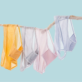 Combo 2 quần lót nữ lụa băng ren lưới thoáng khí, kháng khuẩn, cao cấp, siêu thoải mái (màu ngẫu nhiên) LYEQ014