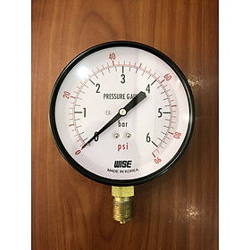 Dụng cụ đo áp suất P110-100A - dãy đo Bar/Psi