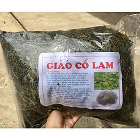 Mua Giảo Cổ Lam 5 lá Hoà Bình