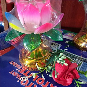 Mua Đèn thờ sen ớt