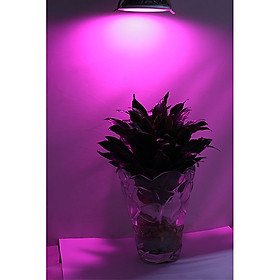 Mua ĐÈN LED ÂM TRẦN TRỒNG CÂY 9W| GRLS07