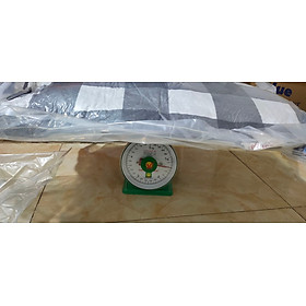 Mua Ruột gối nằm màu kẻ xanh hàng đẹp 1.4kg  kích thước 40*60( sét 1 đôi)