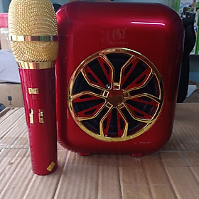 Mua LOA KARAOKE DI ĐỘNG A20 KÈM 1 MICRO KHÔNG DÂY - HÀNG NHẤP KHẨU