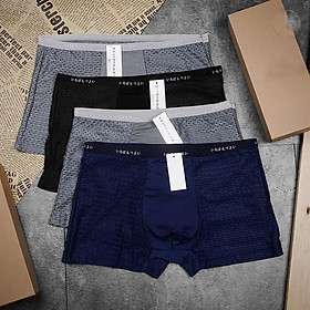 Combo 4 quần lót boxer nam thông hơi d02-4