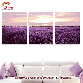 Mua Tranh sơn dầu số hóa tự tô màu Gam CC1005D 40x50cm bộ 3 bức căng sẵn khung