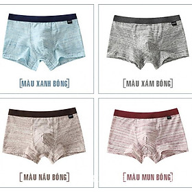 Hộp 4 quần lót nam boxer cotton cao cấp