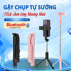 Mua Tripod Gậy Selfie Có Đèn Trợ Sáng & Remote – Gấp Gọn  Dễ Mang  Hỗ Trợ Quay Chụp Mọi Nơi