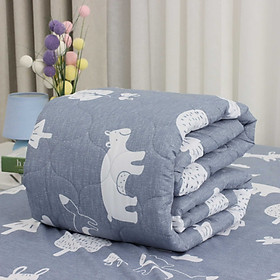 Hình ảnh Chăn chần bông K-bedding by Everon 1m6x2m (cm) KMP chất vải Microfiber