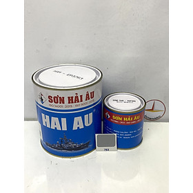 Mua Sơn Epoxy Hải Âu màu xám EP763 1L/Bộ