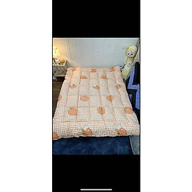Mua Vỏ bọc nệm topper  vỏ bọc đệm 2 mặt bảo vệ nệm có khóa kéo tiện lợi dễ có chun cố định