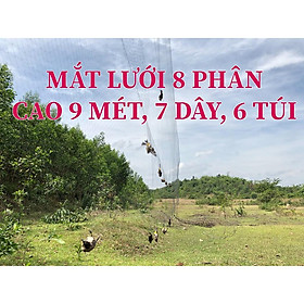 30m lưới 8p bẫy cu gáy, sáo,vẹt ,rẽ giun ,cò , quốc , vẹt két, tổng hợp chim ngày đêm.