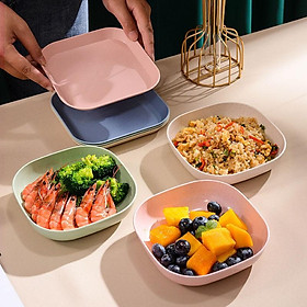 Mua Đĩa Nhựa Lúa Mạch Tone Màu Pastel