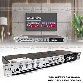 Mua Nâng tiếng Nex FX12 Gold - Thiết kế kim loại cao cấp  đèn led nổi bật - Cải thiện âm thanh hiệu quả - Đầy đủ chức năng  đầy đủ kết nối - Phiên bản nâng cấp của Nex Fx12 Pro - Hàng nhập khẩu