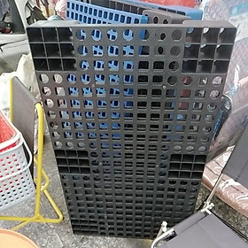Mua pallet  60×100 cm cao cấp