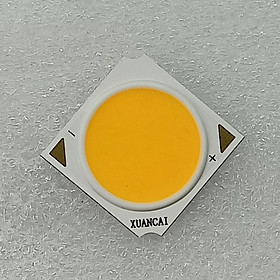 Mua BRIDGELUX CHIP LED COB 12W – 1919/17 – CRI95