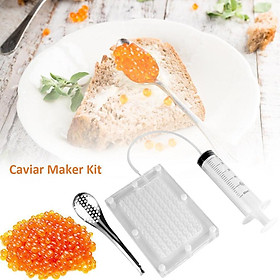 Hình ảnh sách Professional 96-Hole Molecular Gastronomy Caviar Maker with Tube & Spoon