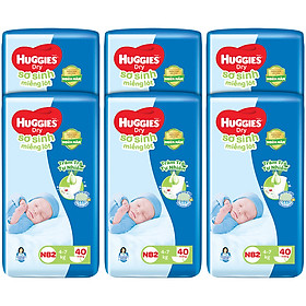 Combo 6 gói Miếng lót sơ sinh NB2 HUGGIES DRY 40 miếng