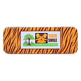 Hộp Bút Sắt B04 - Mẫu Ngẫu Nhiên