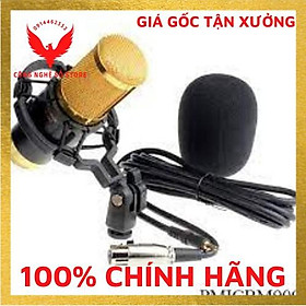Mua Micro thu âm WoaiChang BM900 4.7