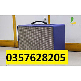 Mua Loa Xách Tay T19  Loa Kèm 2 Micro Không Dây  Công Suất Lớn
