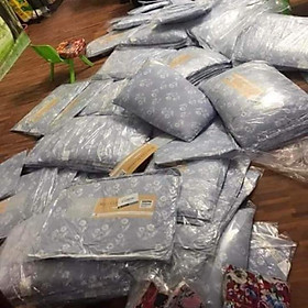 Mua 1 đôi (2 chiếc )ruột gối hoa nhí