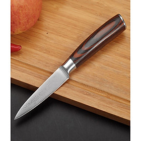 DAO BẾP NHẬT SASHIMI THÉP DAMASCUS MÃ ADT115