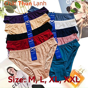COMBO 5 QUẦN LÓT NỮ THUN LẠNH TRƠN LADY 585 – MÁT LẠNH, MỀM MỊN, CO GIÃN TUYỆT ĐỈNH