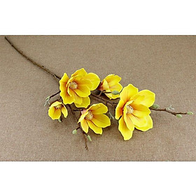 Mua Mộc lan cao su giả 5 bông 90cm
