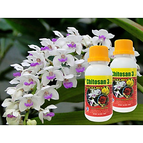 Phân bón lá siêu ra hoa-Combo 2 chai Chitosan3