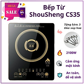 Mua BẾP TỪ CAO CẤP TẶNG KÈM 3 THÌA INOX