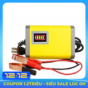 Máy Sạc Bình Ắc Quy Tự Động Cho Xe Máy (12V 2A)