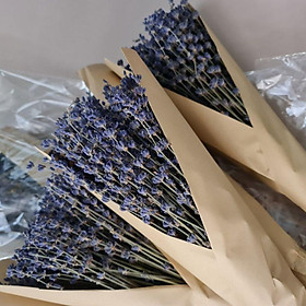 Mua COMBO SỈ 1KG Lavender