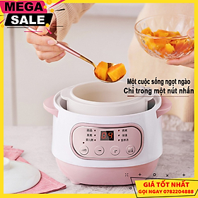 Mua Nồi Nấu Cháo Chậm - Nồi Hầm Cách Thủy Dung Tích 1L  Lòng Nồi Bằng Sứ Giữ Nhiệt Tốt Hơn - Nồi Chưng Yến  Hầm Canh... - Giao Hàng Toàn Quốc