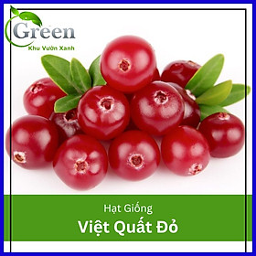 Hạt Giống Cây Việt Quất Đỏ (30H)