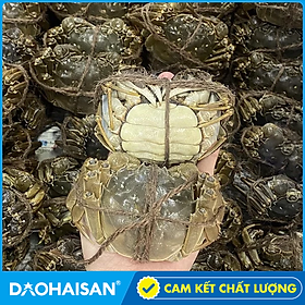 Chỉ Giao Tp.HCM  Cua Lông HongKong Cái 500g 7-9con kg