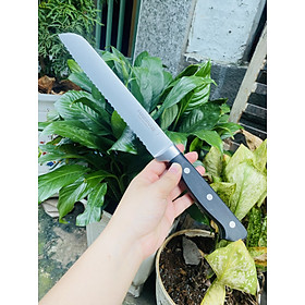 Dao Cắt Bánh Mì Có Răng Cưa dài 31cm, không gỉ Của Mỹ