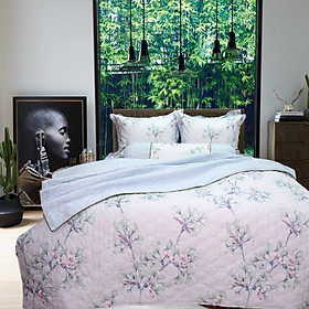 Bộ chăn ga gối 5 món cotton Hàn Julia 265BG18