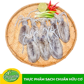 Mực Lá Phú Quốc 500g