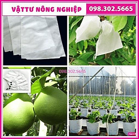 200 túi bao trái cây loại to Ánh Dương kích thước 30x30cm