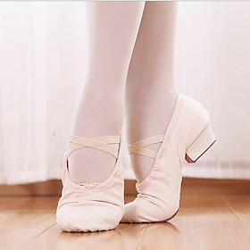 Giày múa bale nữ 21114