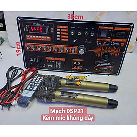 Mua Mạch Loa Kéo 4 tấc đôi DSP21 + Mic Không dây Màn Hình Xanh