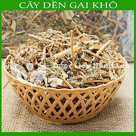 Cây Dền Gai khô sạch đóng gói 500gram