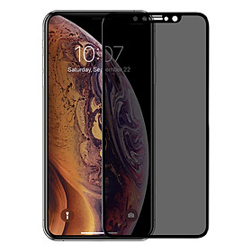 Miếng Dán Chống Nhìn Trộm Nillkin AP+3D Max Cho iPhone Xs Max