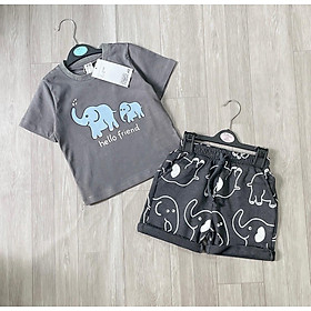 BỘ QUẦN ÁO VOI XÁM CHO BÉ TRAI CHẤT COTTON MỀM MẠI THẤM MỒ HÔI SIZE 8KG-22KG