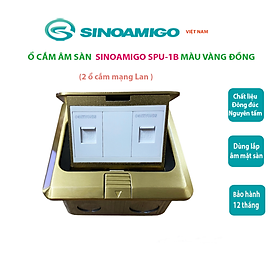 Ổ cắm điện âm sàn Sinoamigo SPU-1B màu vàng đồng, chất liệu đồng đúc nguyên tấm, hạn chế oxy hóa, module lắp theo yêu cầu: Điện, lan, tel, HDMI, GA, USB