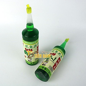 Cây bàng Singapore thủy sinh cao 15cm, cây cảnh phong thủy để bàn nội thất mang đến may mắn, trường an