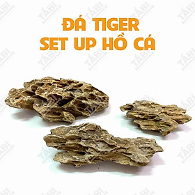 1KG Đá Tiger Setup Hồ Cá Thuỷ Sinh - Đá Tiger Vàng Trang Trí Bể Cá [TIGER] - LỚN>30CM (2-3KG/CỤC)