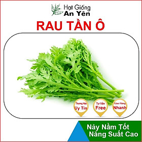 Hạt giống Rau Tần Ô rau Cải Cúc thu hoạch sớm, dễ trồng, nảy mầm cao, sinh trưởng khoẻ