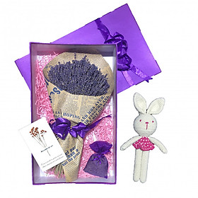 Nơi bán Set quà hoa lavender khô Pháp - Mẫu 32 (hồng) - Giá Từ -1đ